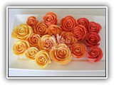 ombre roses